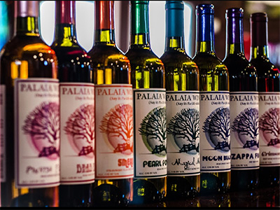Palaia Winery